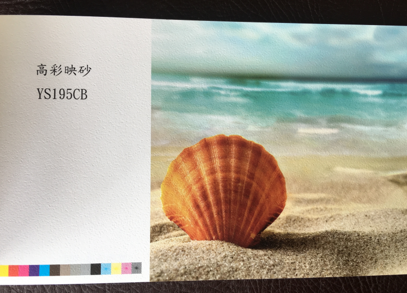 特種紙195克高彩映砂